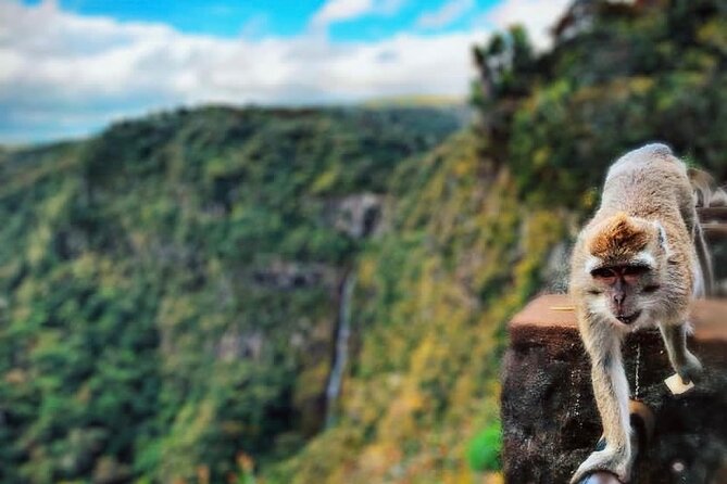 Fascinating Nature Tour Incl Ebony Forest, 7 Coloured Earth,Lunch - Chamarel village, Mauritian lunch, and broad coastal views