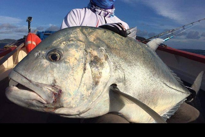 Fishing Trips. Popping, jigging, big game, live bait - Key points at a glance