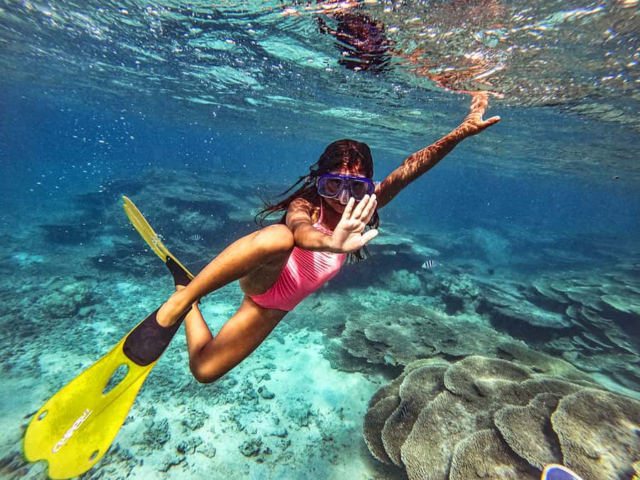 From Blue Bay: Ile aux Cerfs Speedboat Excursion with BBQ - Why this Blue Bay boat trip works well