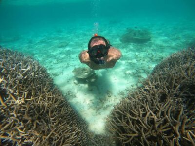 Ile aux Cerfs Speedboat Excursion with BBQ