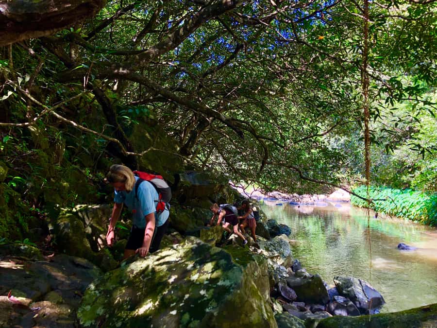 From Chamarel: Waterfall Eco-Hike Adventure - Three hours on paper, longer in practice