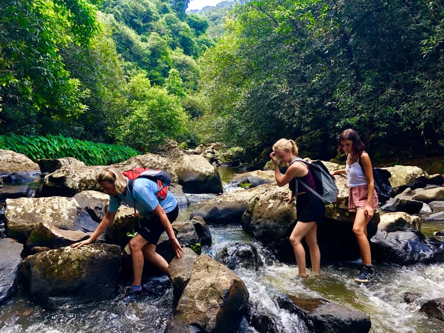 From Chamarel: Waterfall Eco-Hike Adventure - The gorge descent is where the real adventure starts