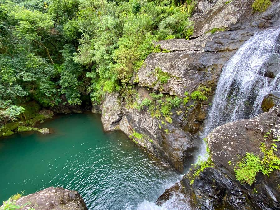 From Quatre Cocos: Tamarind Falls Hiking Day Trip - Following the Rivière Tamarin through the forest