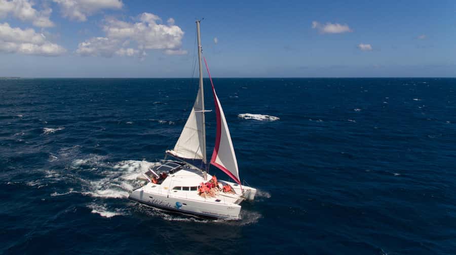 Full Day Catamaran Luxury Cruise to Northern Islands w Lunch - Key points at a glance
