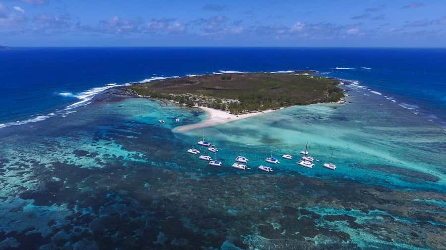 Full Day Catamaran Luxury Cruise to Northern Islands w Lunch - Who will enjoy this cruise most?