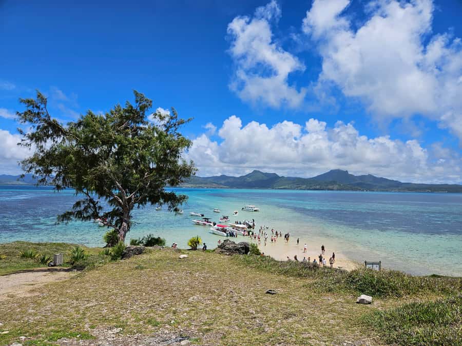 FULL-DAY CATASPEED - East Lagoon cruise including transfer. - Key points at a glance