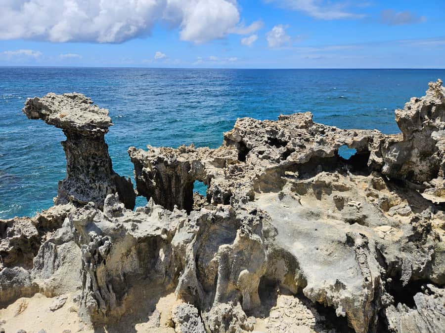 FULL-DAY CATASPEED - East Lagoon cruise including transfer. - Why this East Coast cruise works well