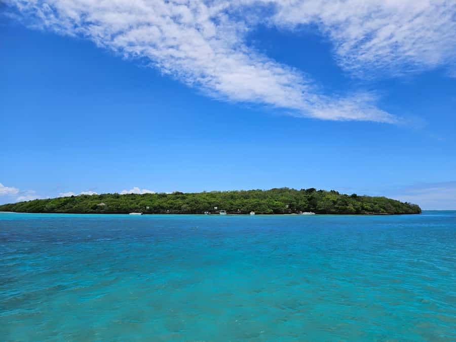 FULL-DAY CATASPEED - East Lagoon cruise including transfer. - Grand River South East Waterfall and wildlife