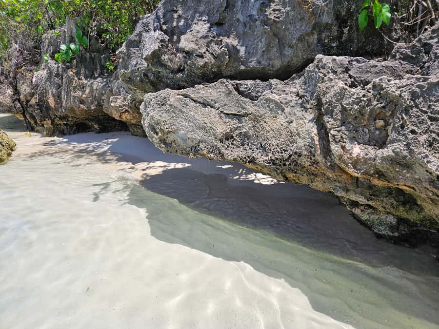 FULL-DAY CATASPEED - East Lagoon cruise including transfer. - Ile aux Cerfs: beautiful, popular, and not perfect