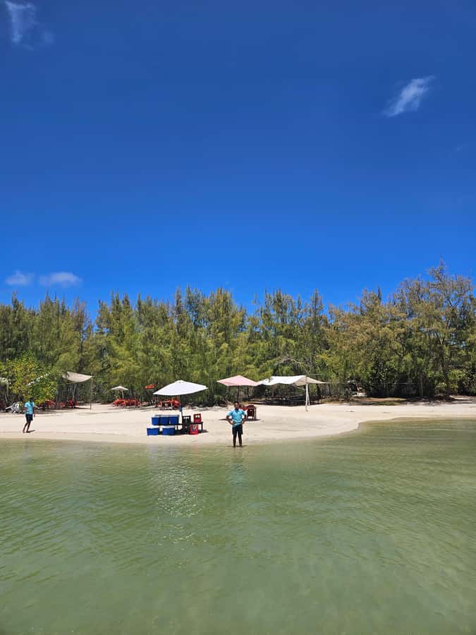 FULL-DAY CATASPEED - East Lagoon cruise including transfer. - Dolphins, wave rides, and the boat’s personality