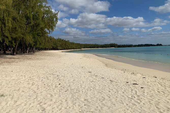Full-Day Dolphin Watching Cruise in Mauritius - Meeting spinner and bottlenose dolphins in Tamarin Bay
