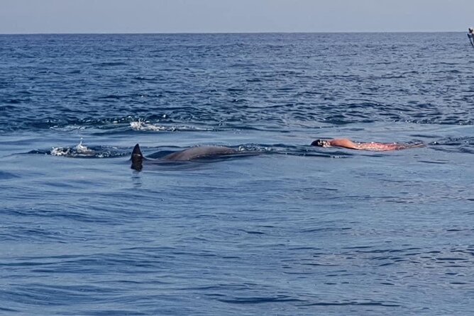 Full-Day Dolphin Watching Cruise in Mauritius - What the $132.46 price includes