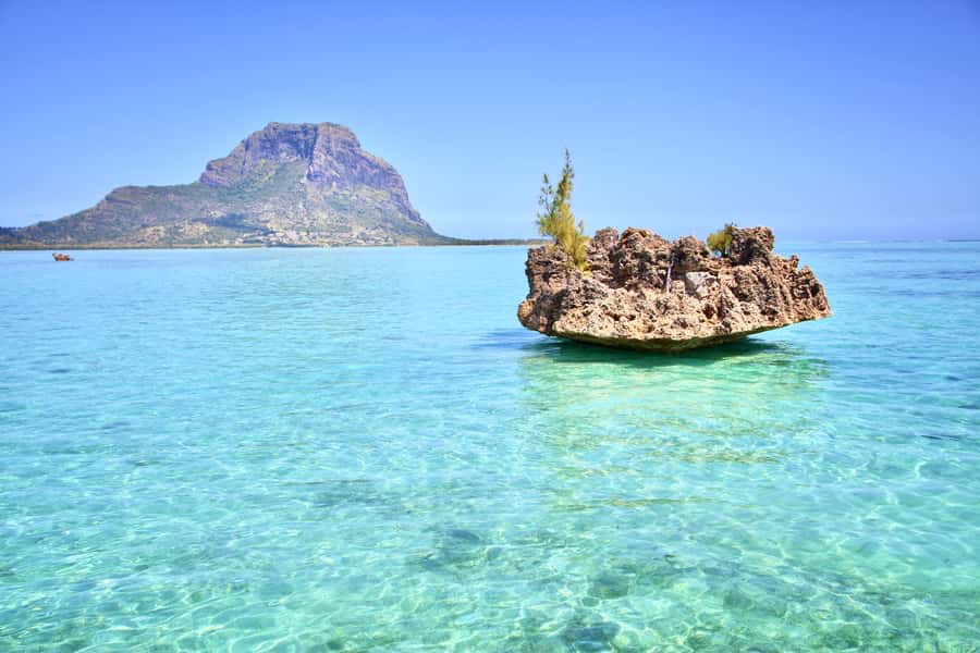 Full Day Dolphins Watching Ile aux Benitiers & Crystal Rock - Speedboat views toward Tamarin Bay and Le Morne
