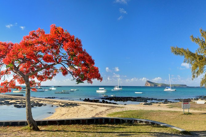 Full Day North Private Guided Tour Mauritius: including lunch - Kaylasson Temple and Mauritius’s Tamil traditions