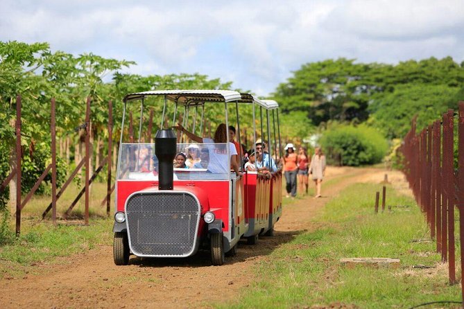 Full-Day North Tour of Mauritius, ALL INCLUSIVE Day Trip, Private SUV Car, Guide - Grand Baie shopping, with your passport in hand