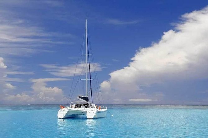 Full-Day Northern Catamaran Cruise: Coin de Mire and Ile Plate Island - What the $111.54 price covers