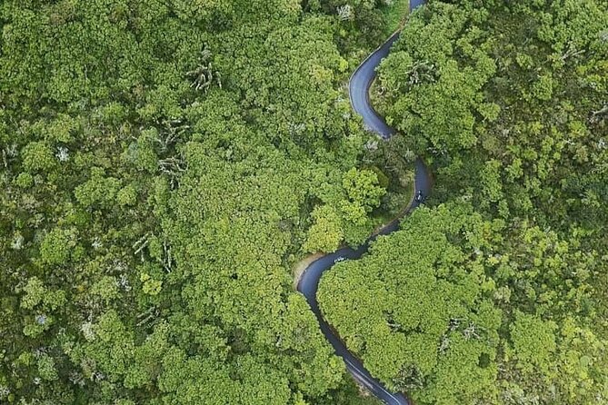 Full Day Private car only Guided SOUTH WEST of Mauritius - Grand Bassin: Mauritius at Its Sacred Center