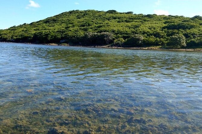 Full-Day Private Hiking le Morne Mountain & Seafood Lunch at Islet Fourneau - The first three kilometers feel approachable