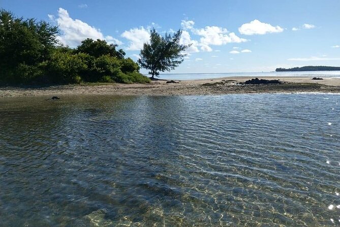 Full-Day Private Hiking le Morne Mountain & Seafood Lunch at Islet Fourneau - What lunch includes, and what it is worth