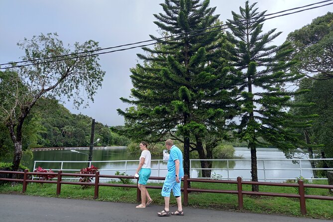 Full Day Private Tour in South of Mauritius - Curepipe and Floreal: useful, but less scenic