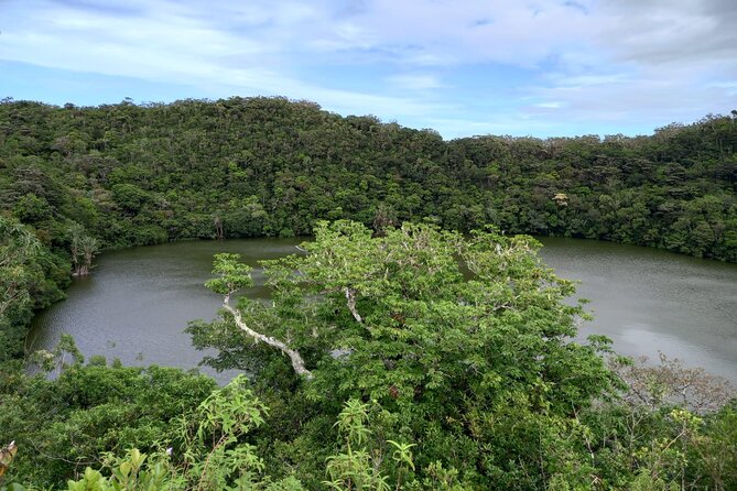 Full Day Private Tour in South of Mauritius - The driver can make or break the experience