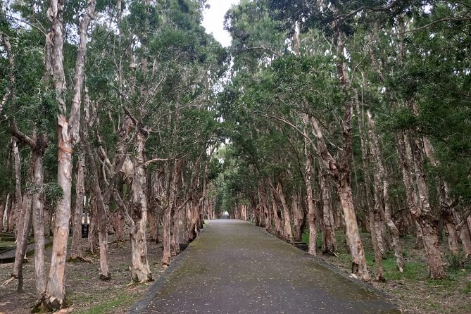 Full Day Private Tour in South of Mauritius - Is eight stops too many?