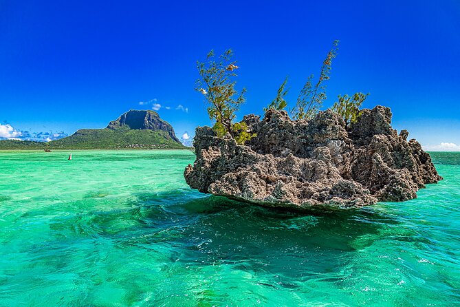 Full day Shared Speedboat Tour - South West Lagoon Dolphin Swim - Who will get the most from this outing