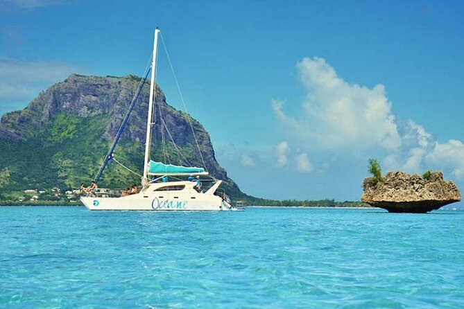 Full day Shared Speedboat Tour - South West Lagoon Dolphin Swim - Pickup, group size, and cancellation details