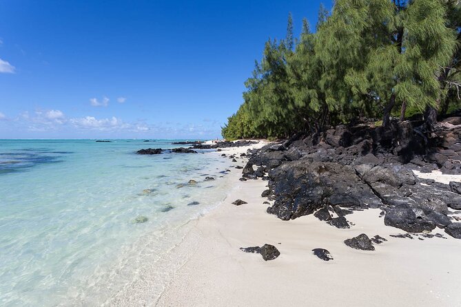 Full Day Shared Tour Catamaran to Ile Aux Cerfs - Ile aux Cerfs lunch: the strongest part of the package