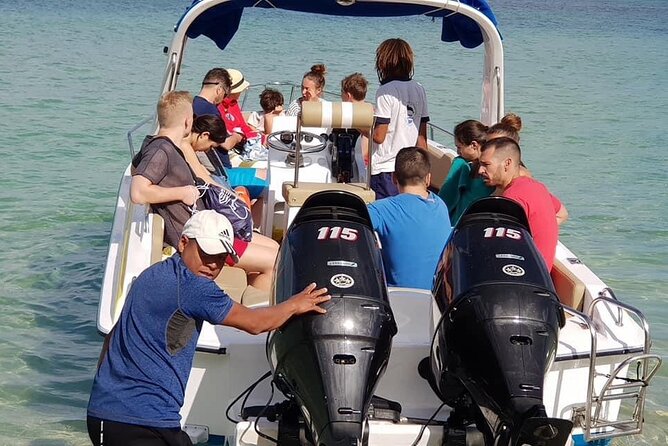 Full-Day Swimming with Dolphins and Casela Nature Park Tour in Mauritius - What the mixed feedback means for your decision