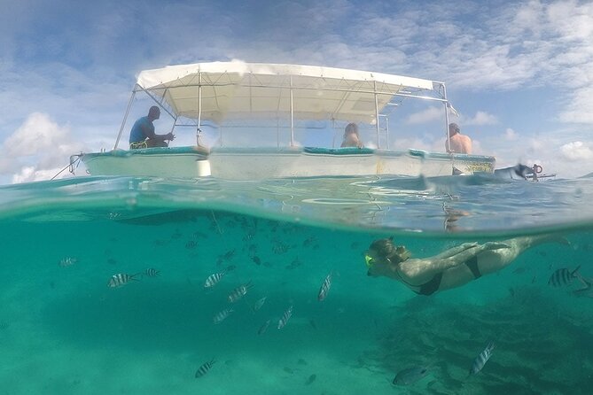 Full Day Tour 5 Island to Ile Aux Cerfs Incl. Lunch and Transfer - Grand River South East Waterfall by boat