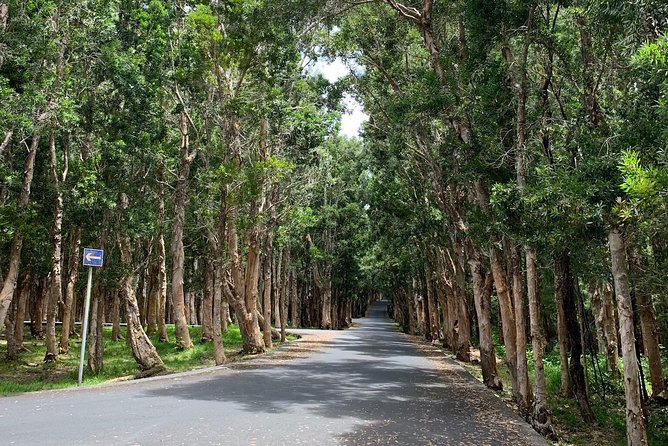 Full-Day Tour of South West Mauritius - Black River Gorges and Alexandra Falls