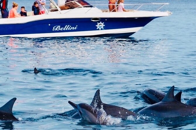 Fully Day Tour: Dolphin Encounters, Crystal Rock at Benitiers Island - Why this Mauritius boat day works