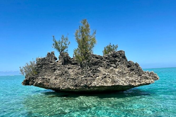 Fully Day Tour: Dolphin Encounters, Crystal Rock at Benitiers Island - Small group promises and real-world organization