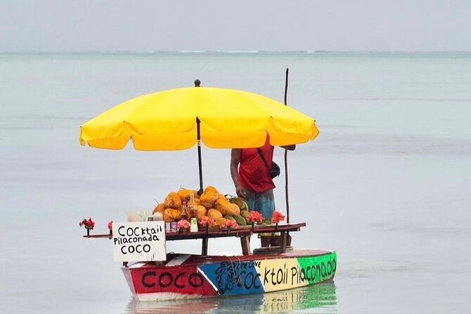 Fully Day Tour: Dolphin Encounters, Crystal Rock at Benitiers Island - Who gets the best value from the $107.24 price