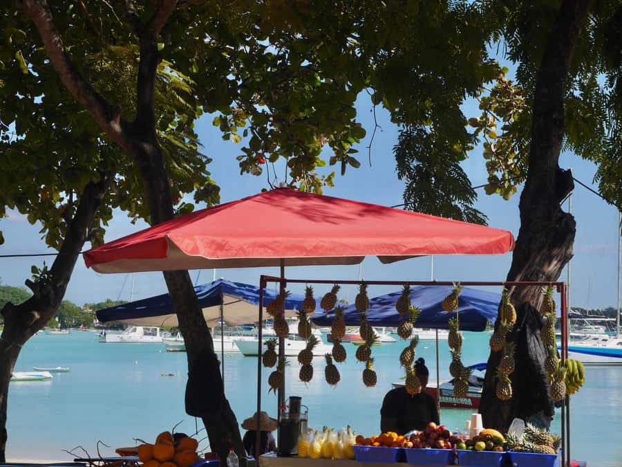 Grand Baie: Coastal Cuisine & Culture Walking Tour - A longer meal at a local restaurant