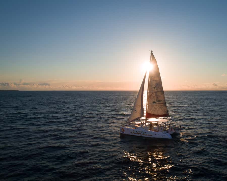 Grand Baie: Cocktail & Sunset Catamaran Cruise - A catamaran designed for sunset viewing