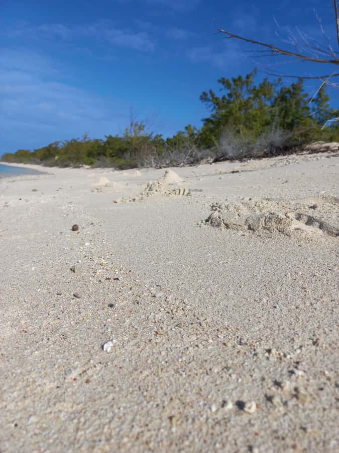 Grand Baie: Three Islands Private Boat Trip and Beach BBQ - What the private format really gives you