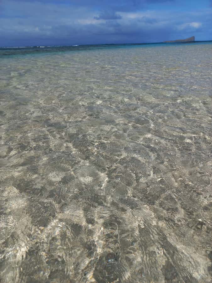 Grand Baie: Three Islands Private Boat Trip and Beach BBQ - Who will enjoy this island day most?