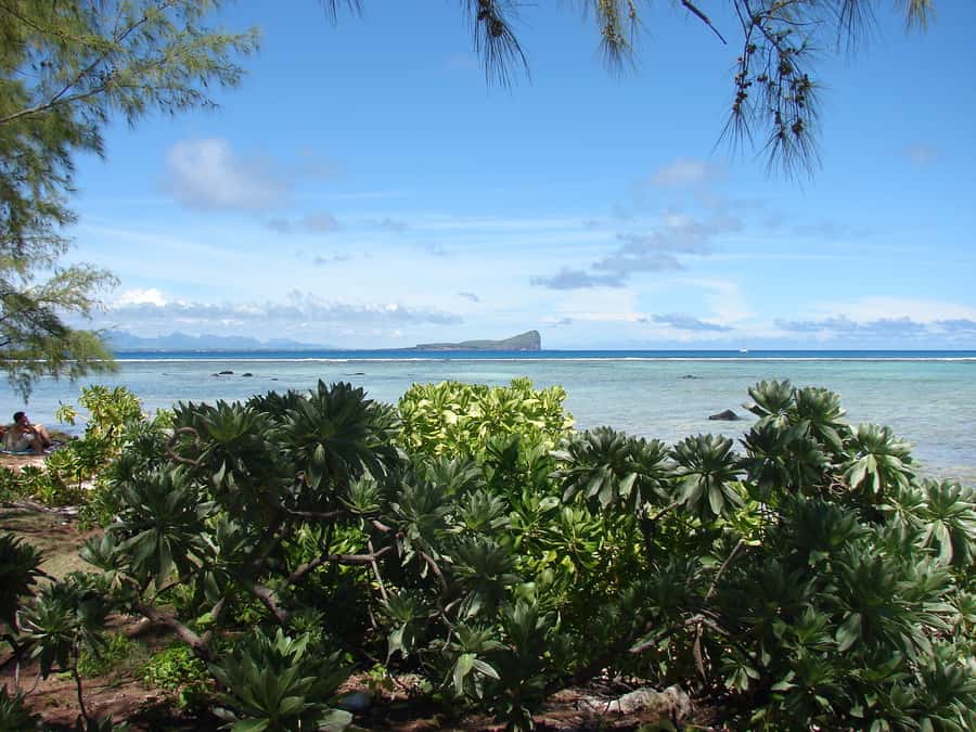 Grand Baie: Three Islands Private Boat Trip and Beach BBQ - A beach lunch with a proper holiday feel