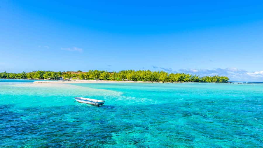 Grand Bay: Catamaran Cruise to Flat Island with BBQ Lunch - Key points to know before you go