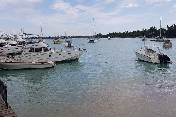Grand Bay Food Tour - Who will enjoy this Grand Baie experience?
