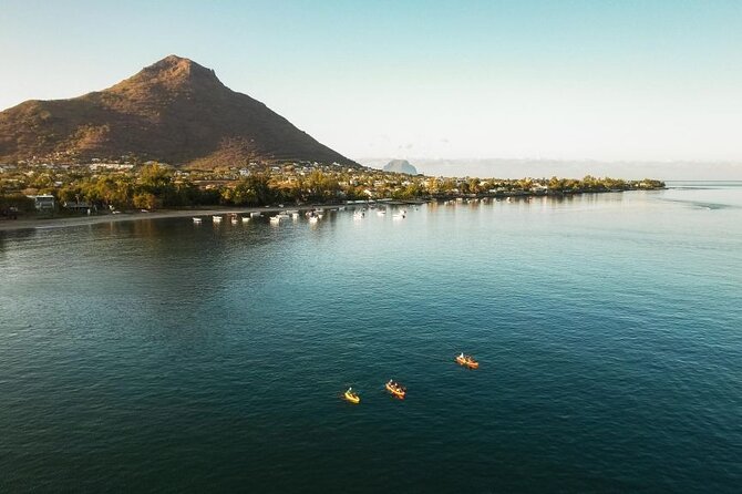 Guided Kayak 2-Hour Activity with Dolphins - Why the 6:20 am Start Is Worth It