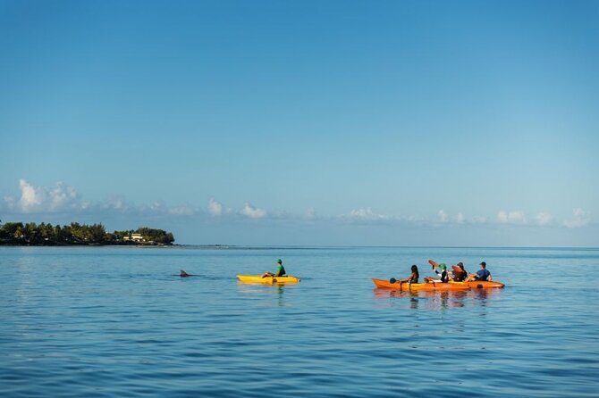 Guided Kayak 2-Hour Activity with Dolphins - Paddling From Shore Into Tamarin Bay