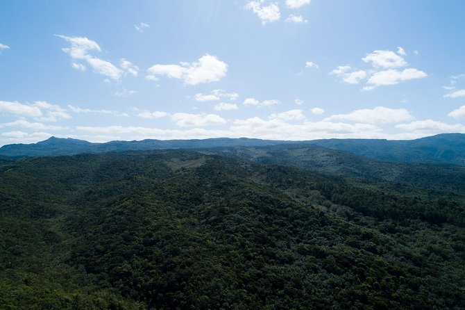 Hiking in the Black River Gorges National Parc - Native Forest - Returning downhill, then cooling off in the Black River