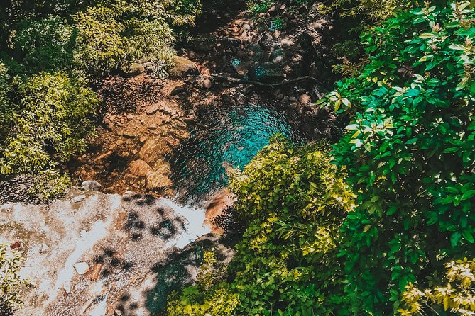 Hiking in the Black River Gorges National Parc - Native Forest - How hard is the route?