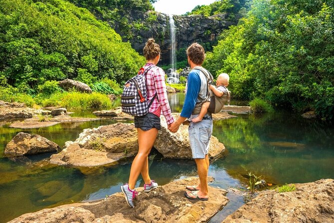 Hiking the Black River Gorges: Full-day with Lunch and Transfer - The morning pickup and drive to the gorge