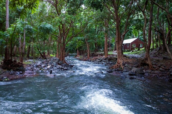 Hiking the Black River Gorges: Full-day with Lunch and Transfer - The guide and the conservation message