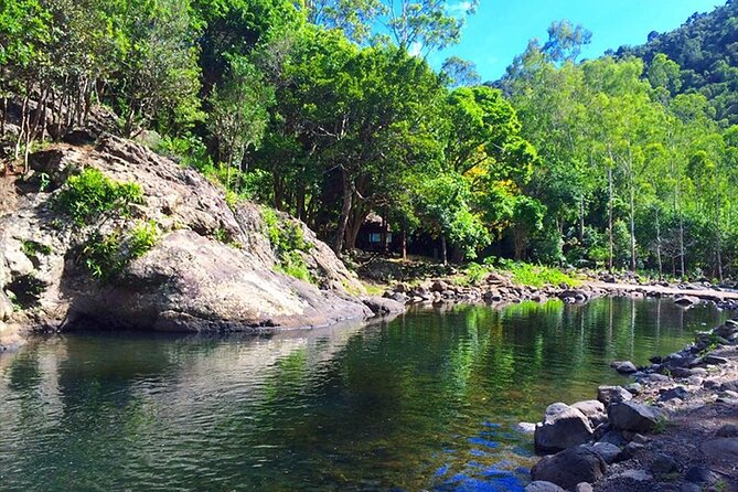 Hiking the Black River Gorges: Full-day with Lunch and Transfer - Two hours among endemic plants and forest trails
