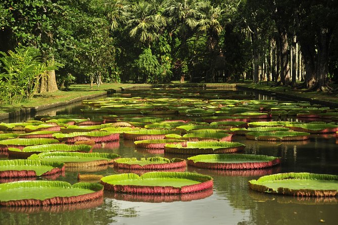 Historical Private Guided Tour, City-SugarWorld-Botanical Garden - Min.2 persons - Key things to know before booking